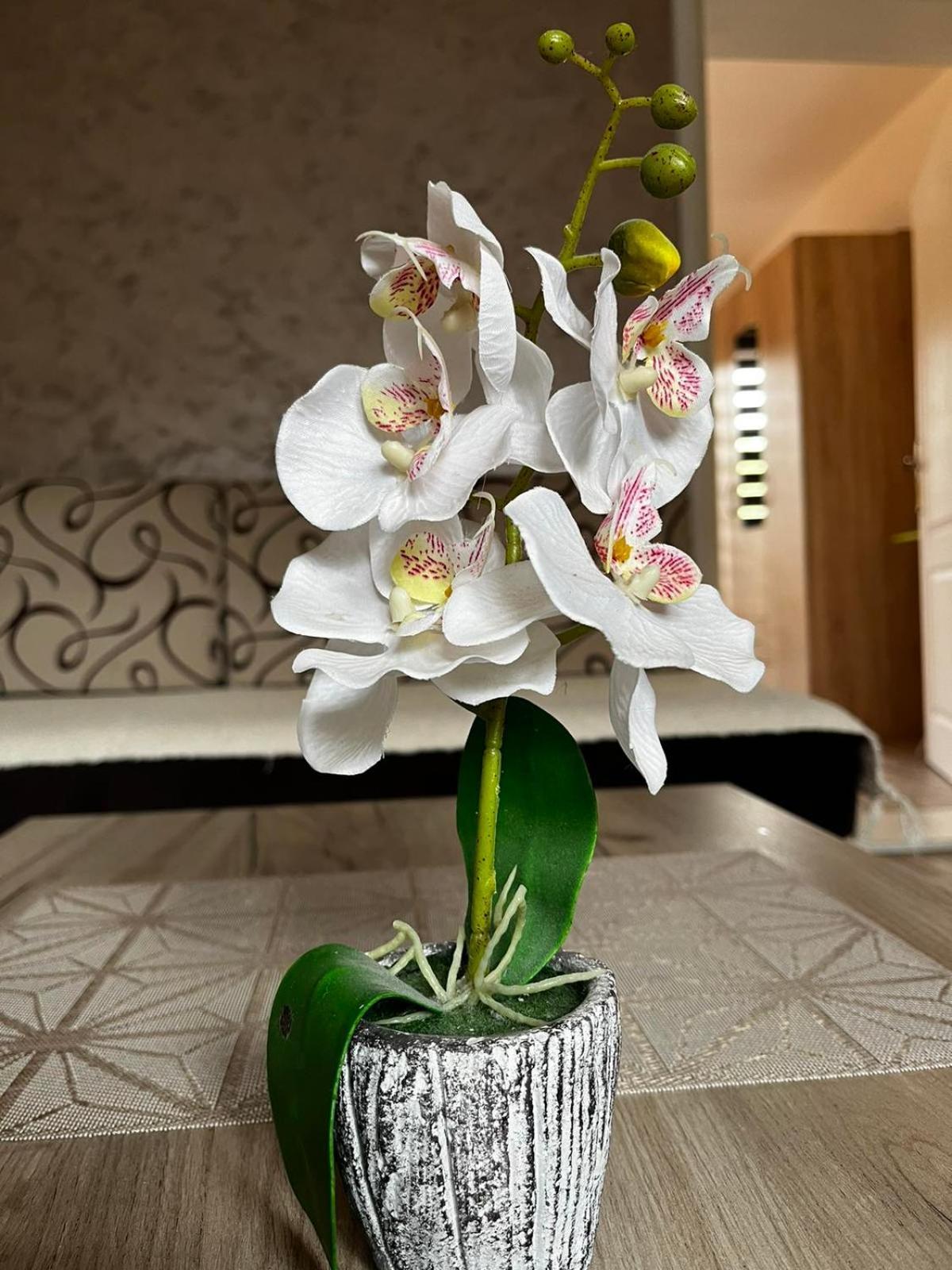Apartmani Nikolic Višegrad Zimmer foto